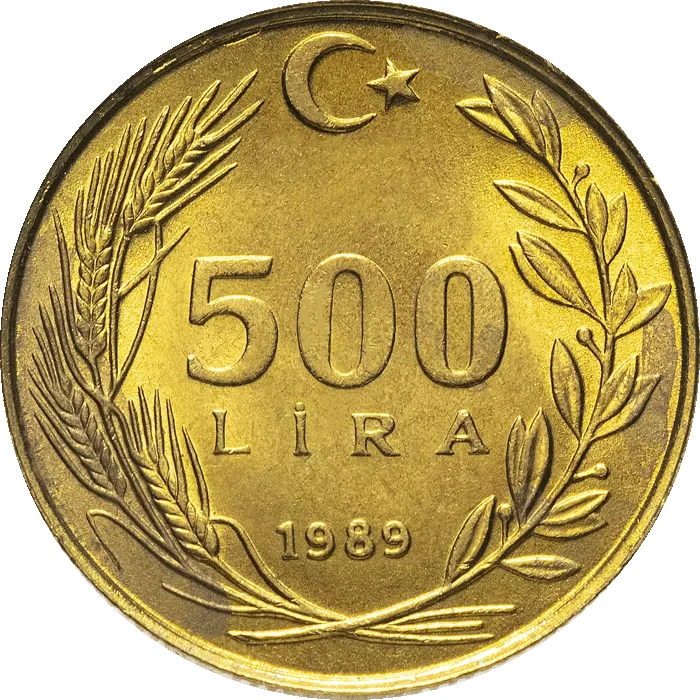 500 Lira (Seyrek Saç)